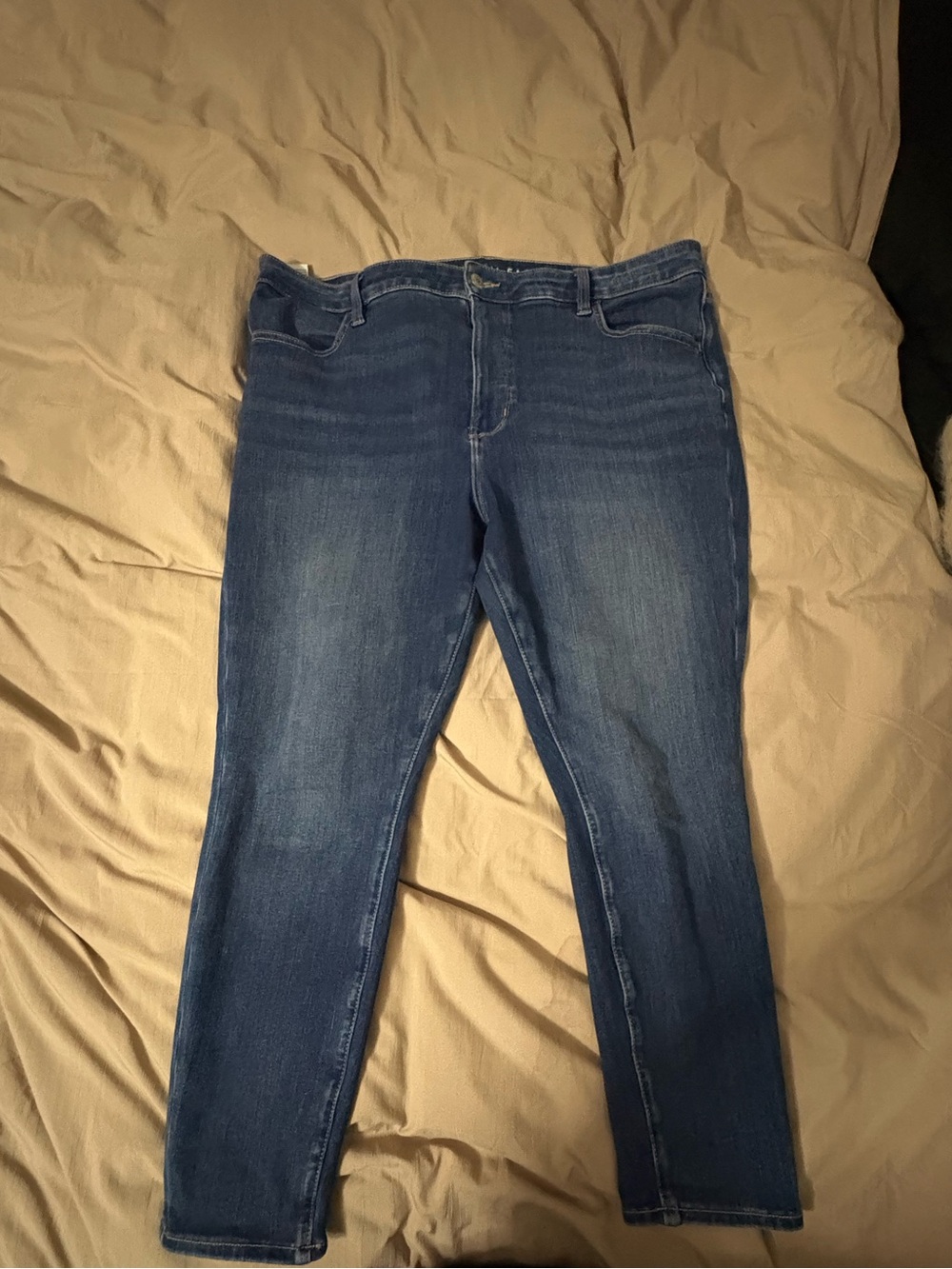 American Eagle Outfitters Dark Blue Skinny Jeans